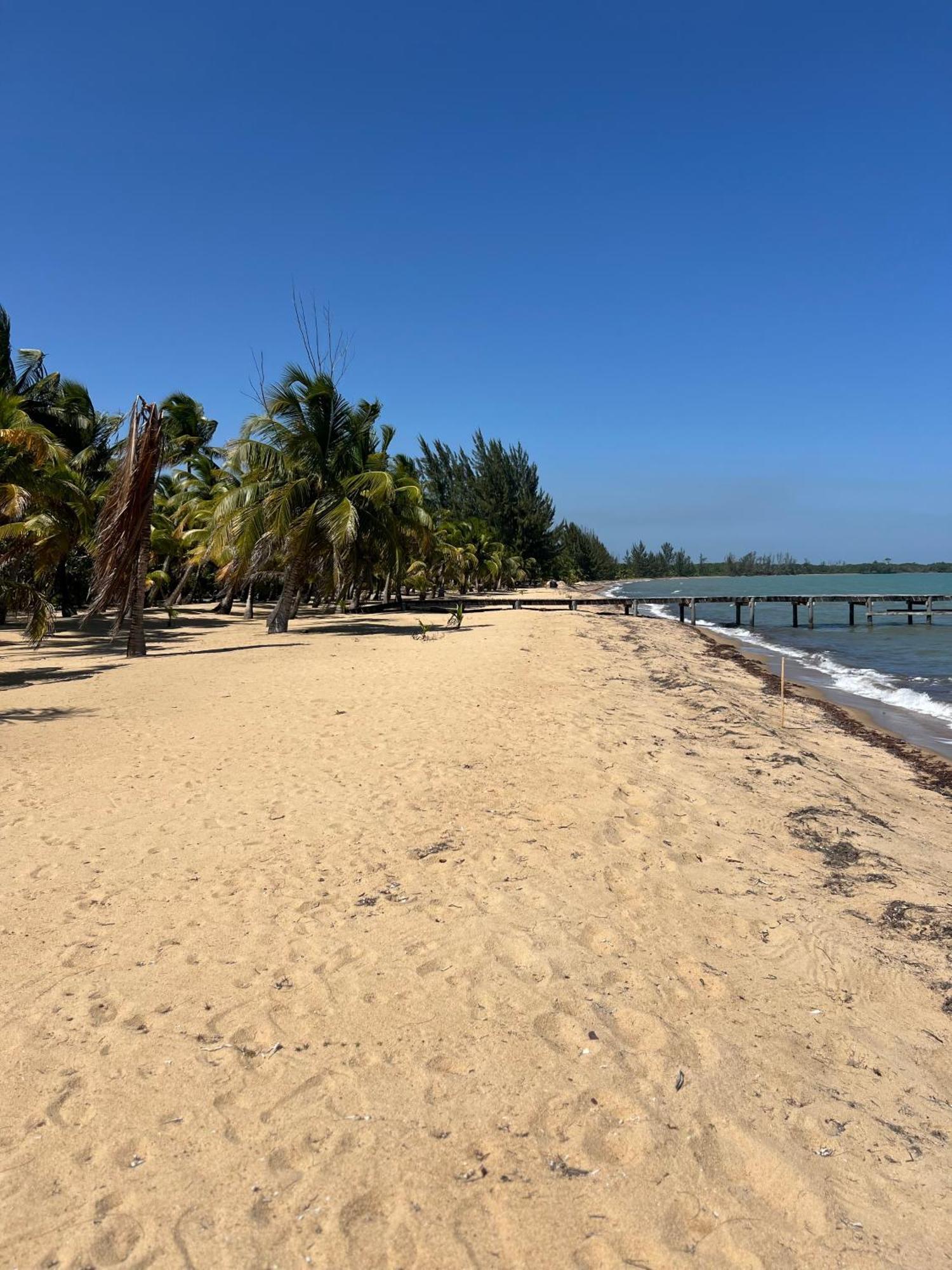 Sabal Beach Punta Gorda Exteriör bild
