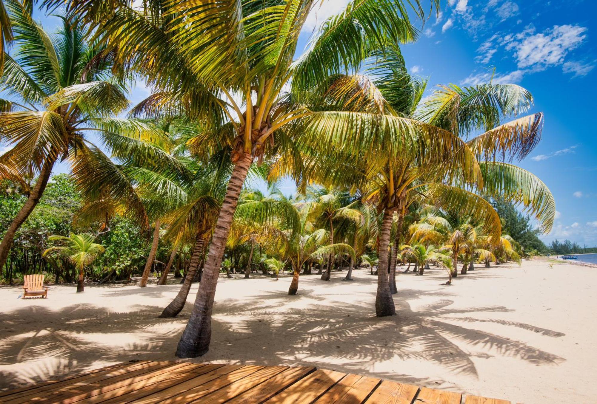 Sabal Beach Punta Gorda Exteriör bild
